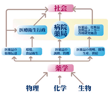 薬学と関連分野、社会への貢献に関する模式図