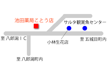 アクセスマップ