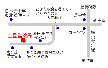 アクセスマップ