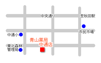 アクセスマップ