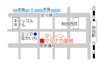 アクセスマップ