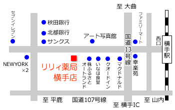 アクセスマップ