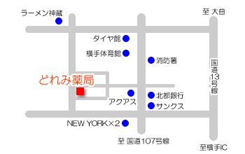 アクセスマップ