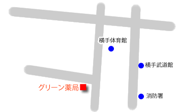 アクセスマップ